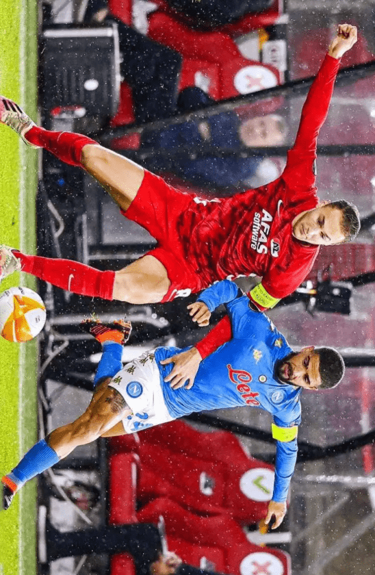 但彼此之间 但彼此之间