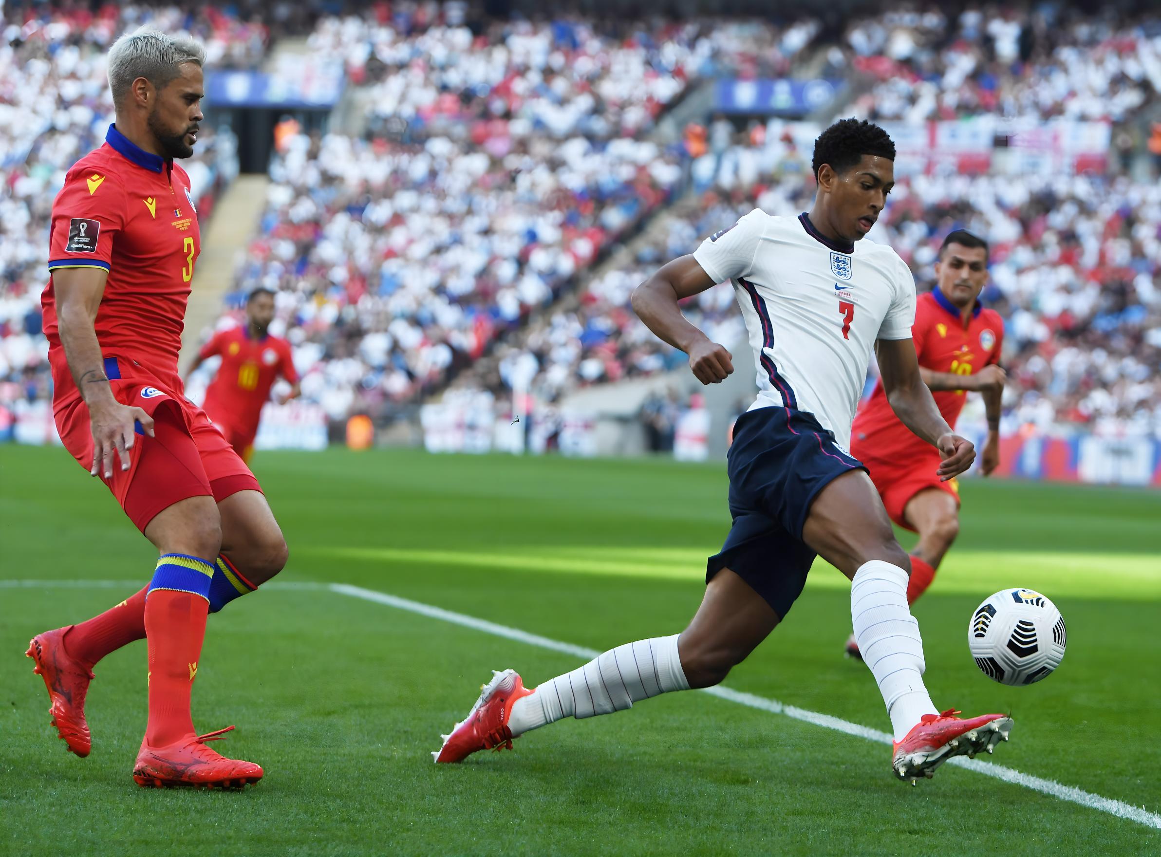 投向了拥有 投向了拥有