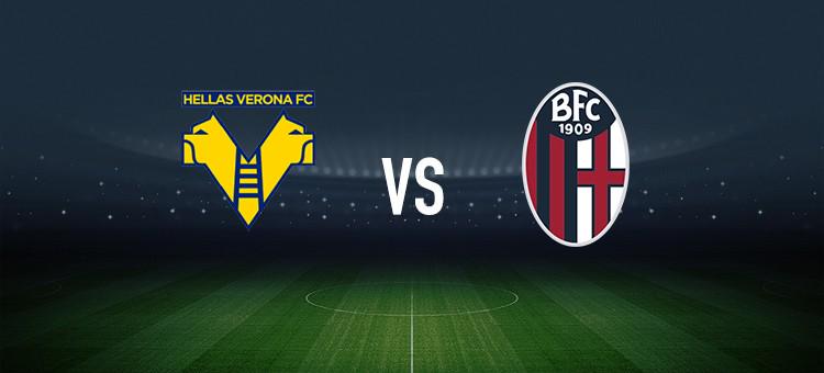 貝利的表现 貝利的表现