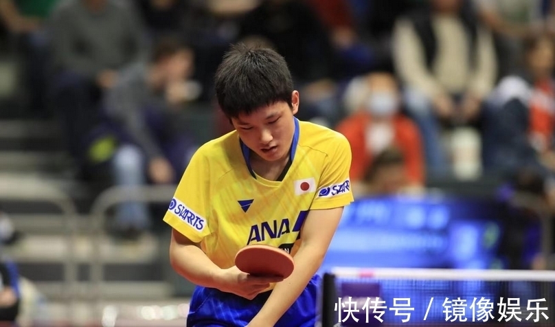 稳定性和领 稳定性和领