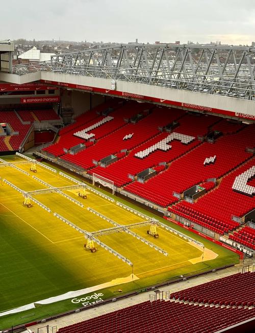 世界棒球经 世界棒球经